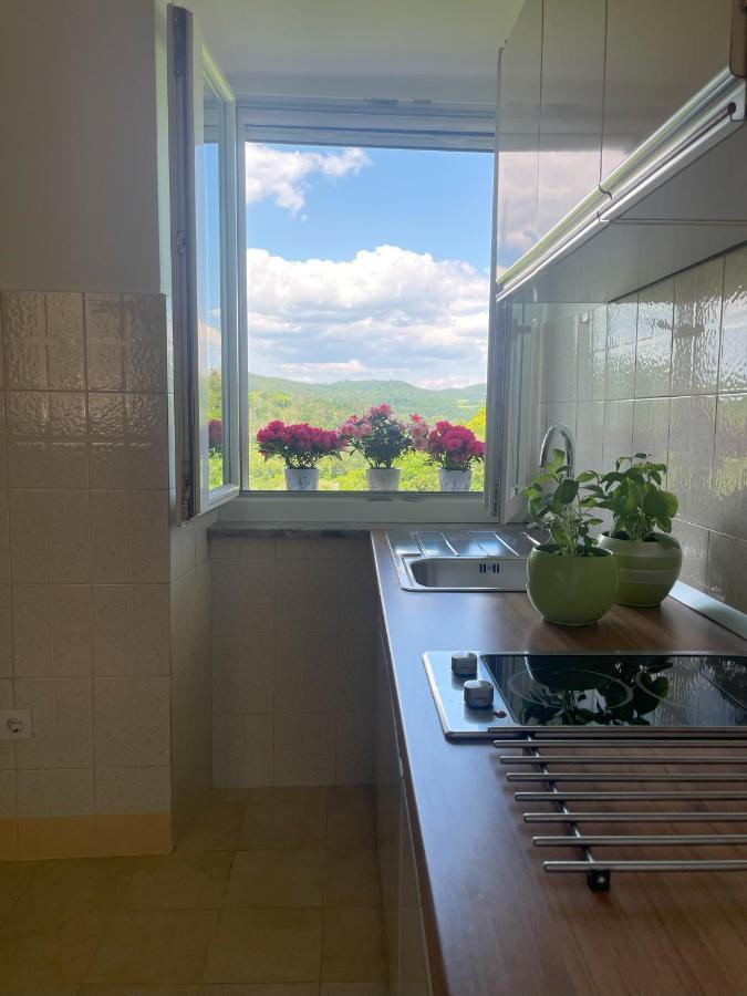 Apartment Kastel Pazin Dış mekan fotoğraf