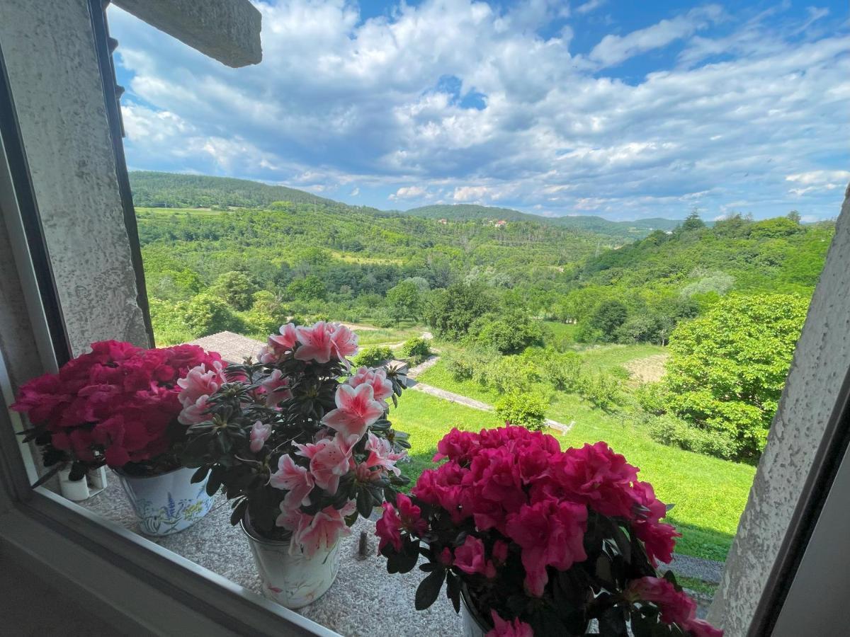 Apartment Kastel Pazin Dış mekan fotoğraf